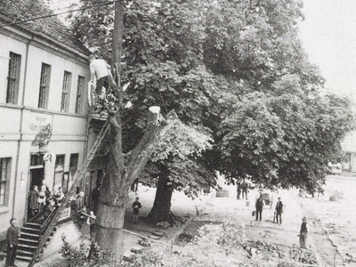 Fot. 6. Widok w trakcie przebudowy rynku z 1940 roku, połączonej z wycinką drzewa (lipy). Zdjęcia z archiwum Heimatgruppe Bublitz.