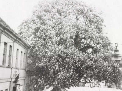 Fot. 7. Widok po przebudowie rynku z 1940 roku. Zdjęcia z archiwum Heimatgruppe Bublitz.