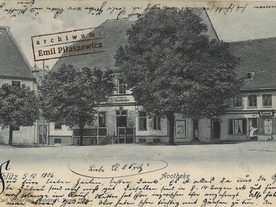 Fot. 1. Najstarszy widok z dokładnym przedstawieniem Dziejowidza z 1906 roku. Pocztówka ze zbiorów Emila Piłaszewicza.