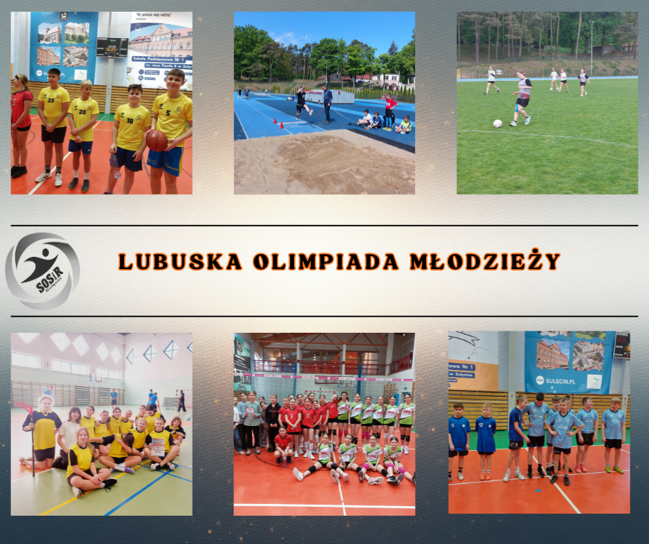 1a_lubuska_olimpiada_mlodziezy.png [940x788]