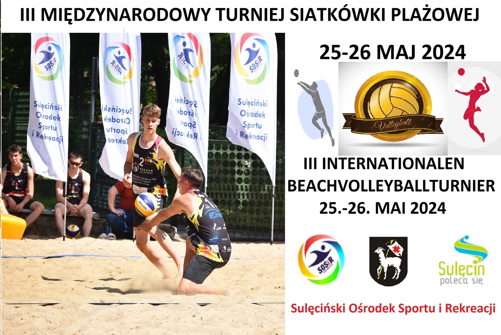 Siatkówka