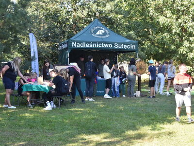 Nadleśnictwo
