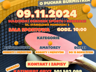 Tenis Stołowy - 09.11.2024