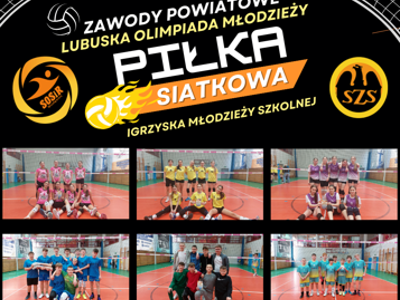 Piłka Siatkowa LOM 2024/25