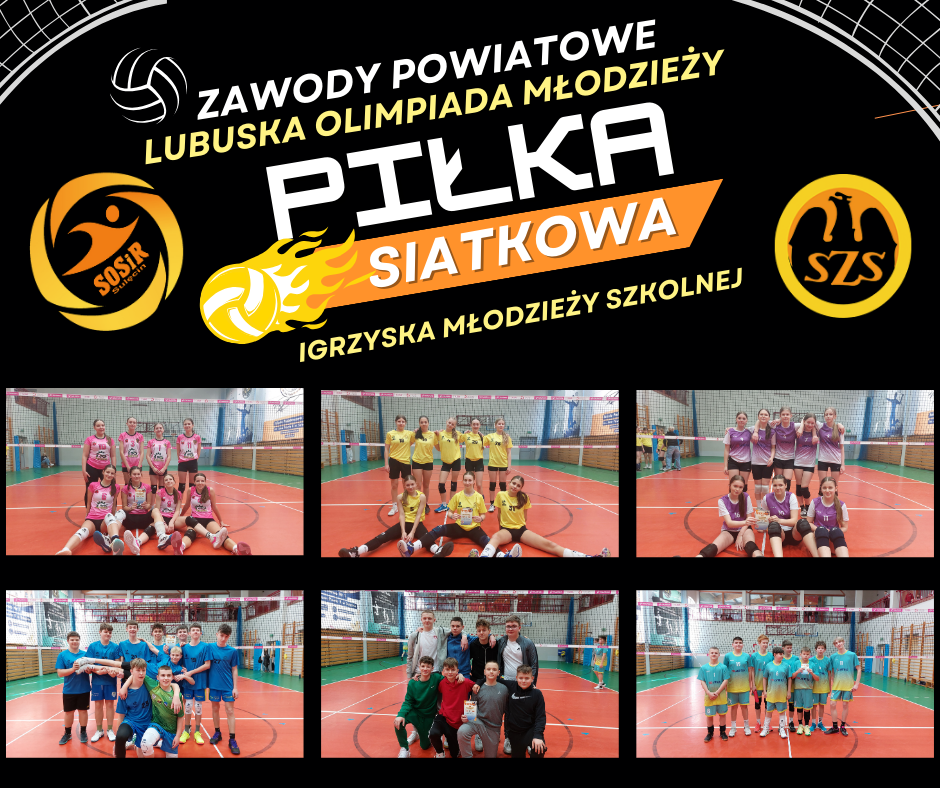 Piłka Siatkowa LOM 2024/25