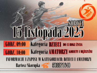 plakat tenis stołowy
