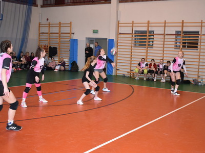 salps