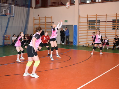 salps