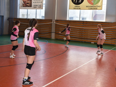 salps