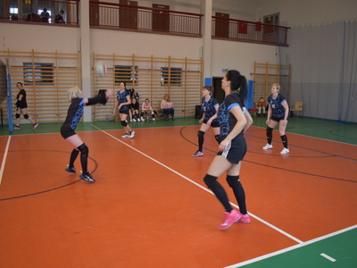 salps