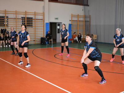salps