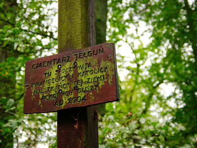 Jełguń - cmentarz ewangelicki	Autor zdjęcia: Agnieszka Żyznowska