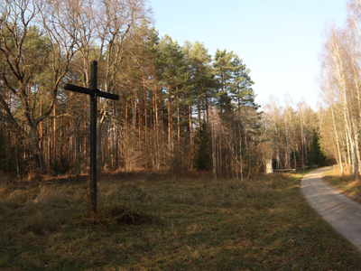 Morgi - krzyż przy gospodarstwie Popławskich i Gościniec Niborski	Autor zdjęcia: Agnieszka Żyznowska