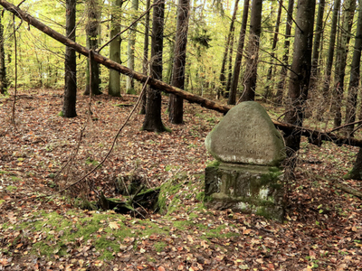 Dzierzgunka - kamień syna leśniczego Autor zdjęcia: Agnieszka Żyznowska