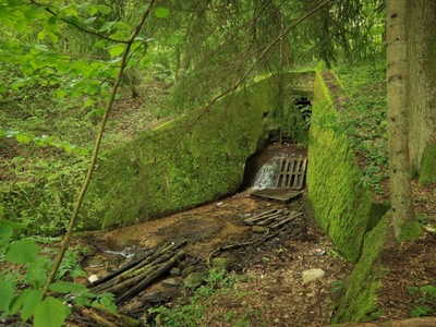 Jezioro Pluszne - obiekt kanału zalewowego	Autor zdjęcia: Agnieszka Żyznowska