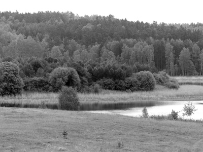 Jezioro Kielarskie	Autor zdjęcia: Wojciech Kujawski