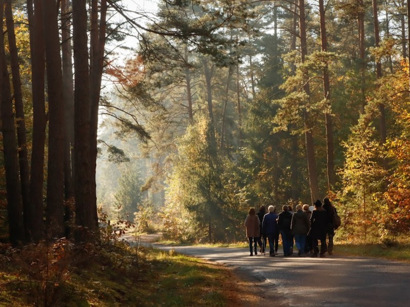 Małe Pluski - współczesna łosiera-Autor zdjęcia: Agnieszka Żyznowska