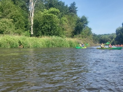 spała