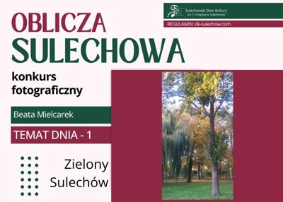 temat 1 - zielony Sulechów - fot. Beata Mielcarek