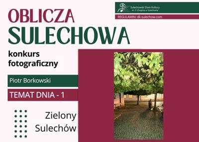temat 1 - zielony Sulechów - fot. Piotr Borkowski
