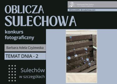temat 2 - Sulechów w szczegółach - fot. Barbara Adela Czyżewska