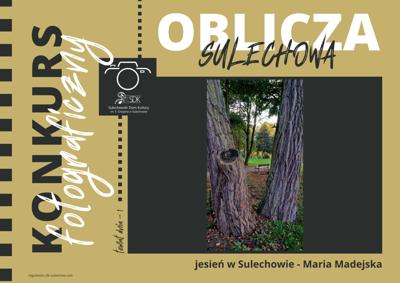 slajd prezentujący jedną z prac