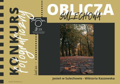 slajd prezentujący jedną z prac