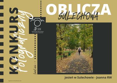 slajd prezentujący jedną z prac