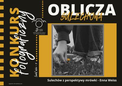 slajd prezentujący jedną z prac