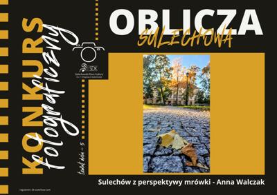 slajd prezentujący jedną z prac