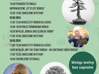 festiwal