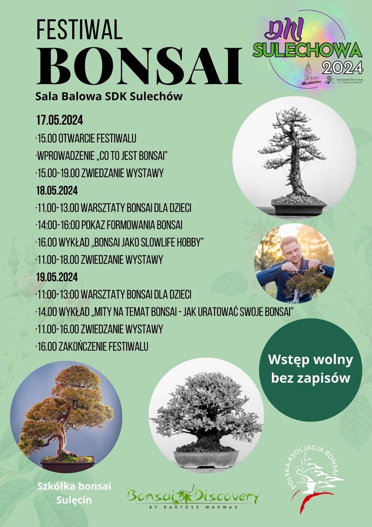 festiwal