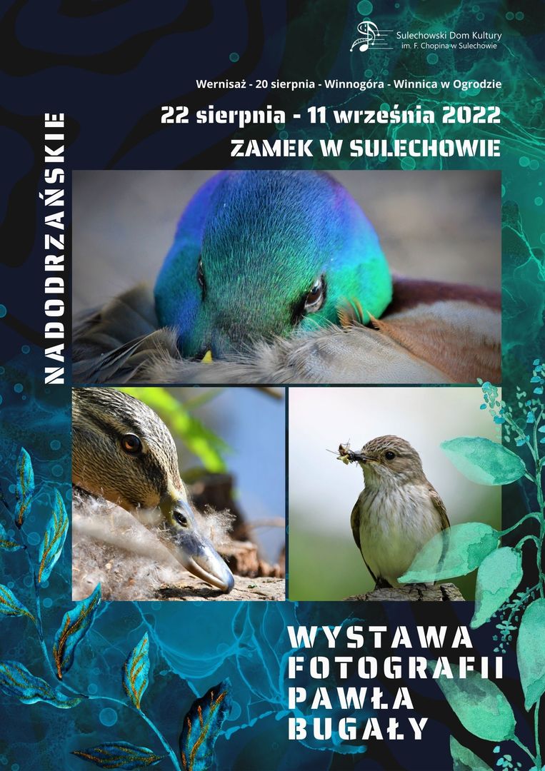 PLAKAT WYSTAWY FOTOGRAFII PAWŁA BUGAŁY