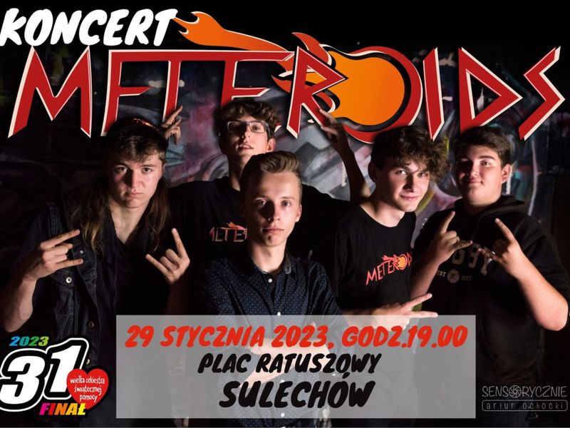 Meteroids