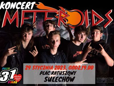 Meteroids