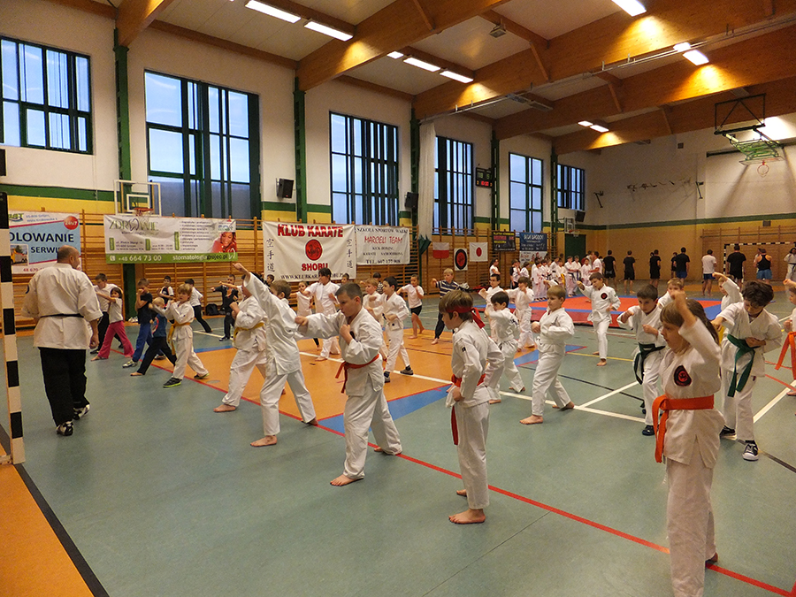 Zajęcia z karate [900x675]
