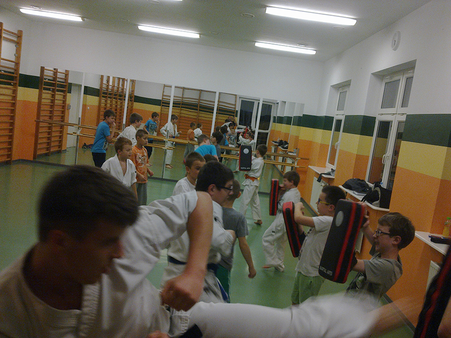 Zajęcia z karate [900x675]