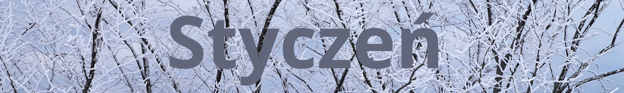 styczen obrazek