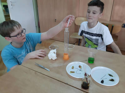 zajęcia uczniów
