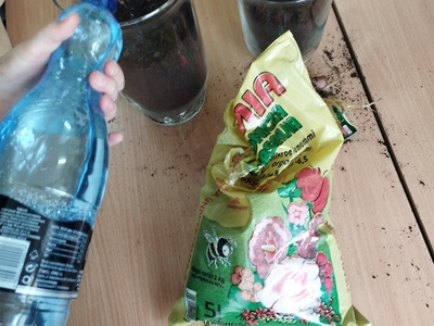 sadzenie roślin