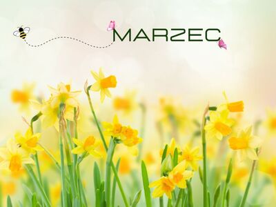 marzec w świetlicy