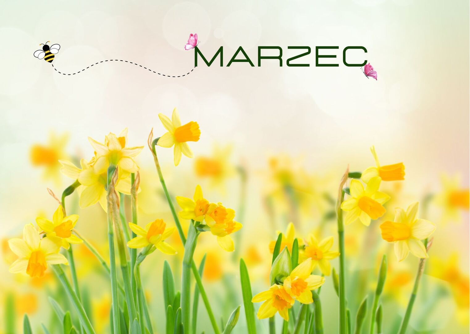 marzec w świetlicy
