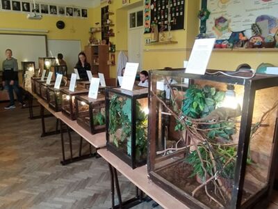 Lekcja biologii 