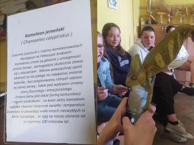 Lekcja biologii 