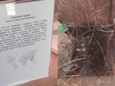 Lekcja biologii 