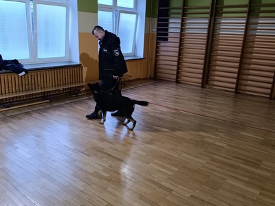 Uczniowie podczas zajęć 