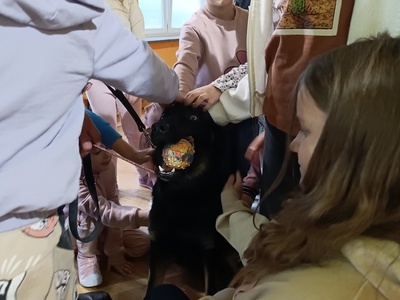 Uczniowie podczas zajęć 