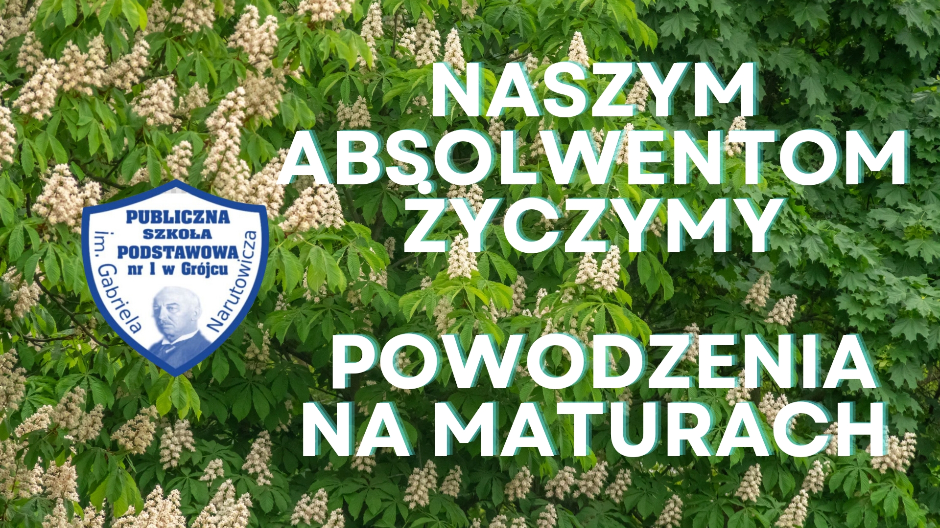 plakat