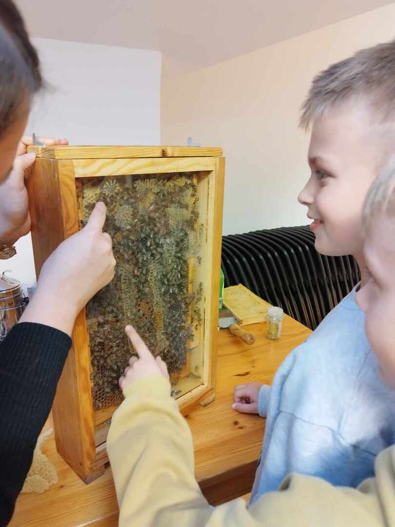 Pracowici jak pszczoły! "Pracowity jak pszczoła"