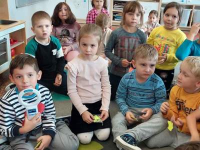 Motylki